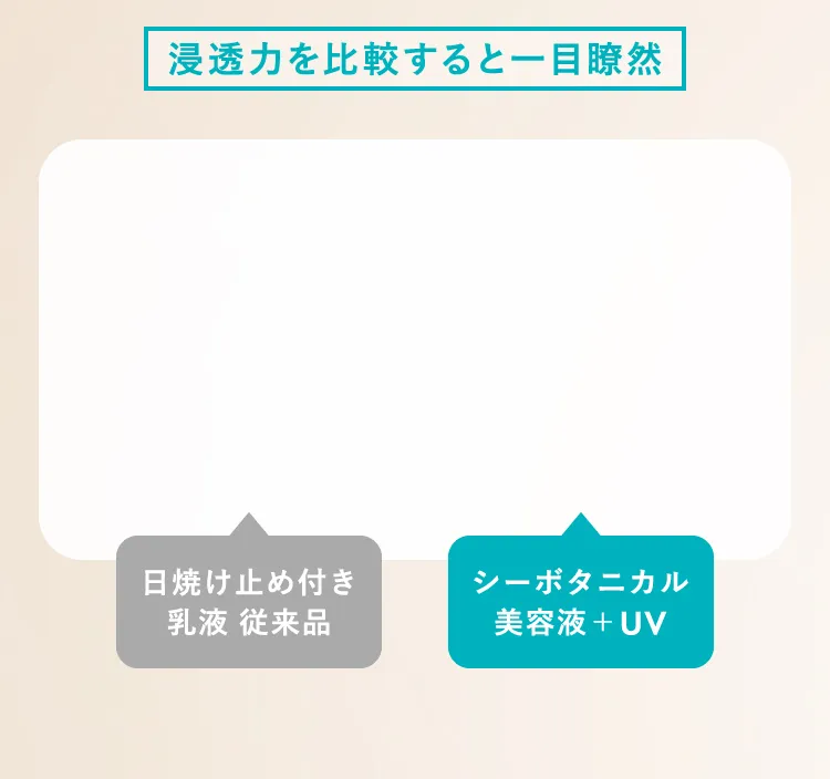 浸透力を比較すると一目瞭然 日焼け止め付き乳液 従来品 シーボタニカル美容液+UV