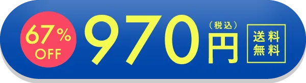 970円 送料無料