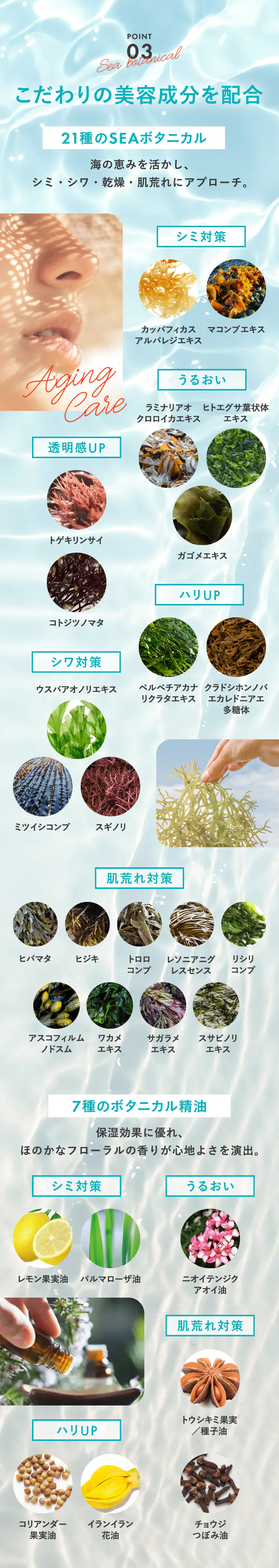 POINT03 こだわりの美容成分配合