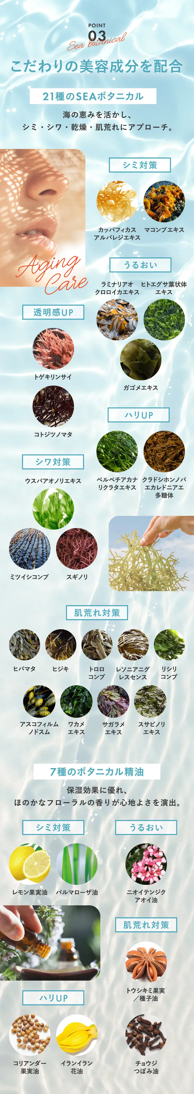POINT03 こだわりの美容成分配合
