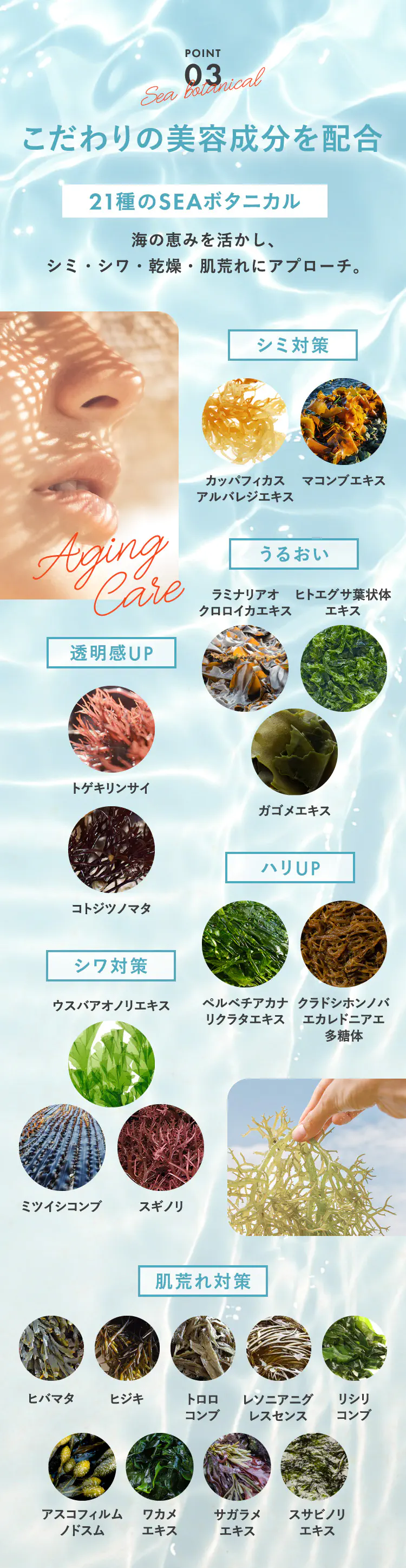 POINT03 こだわりの美容成分を配合 21種のSEAボタニカル