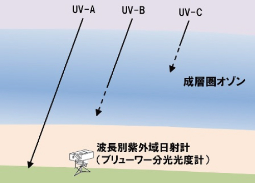 各領域の紫外線とオゾン層の関係