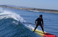 検証している様子