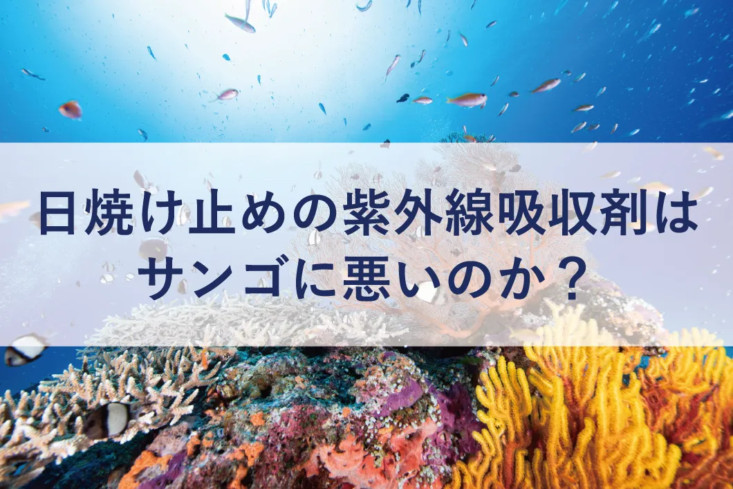 日焼け止めの紫外線吸収剤はサンゴに悪いのか？
